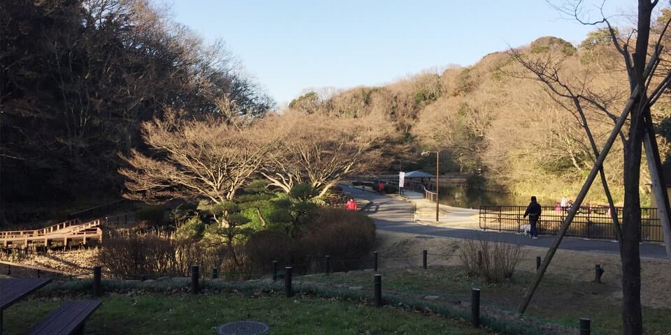 久良岐公園への道