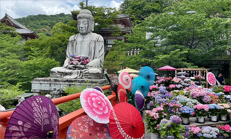 奈良県のイメージ画像
